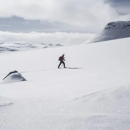 Tundrea Kilpisjärvi